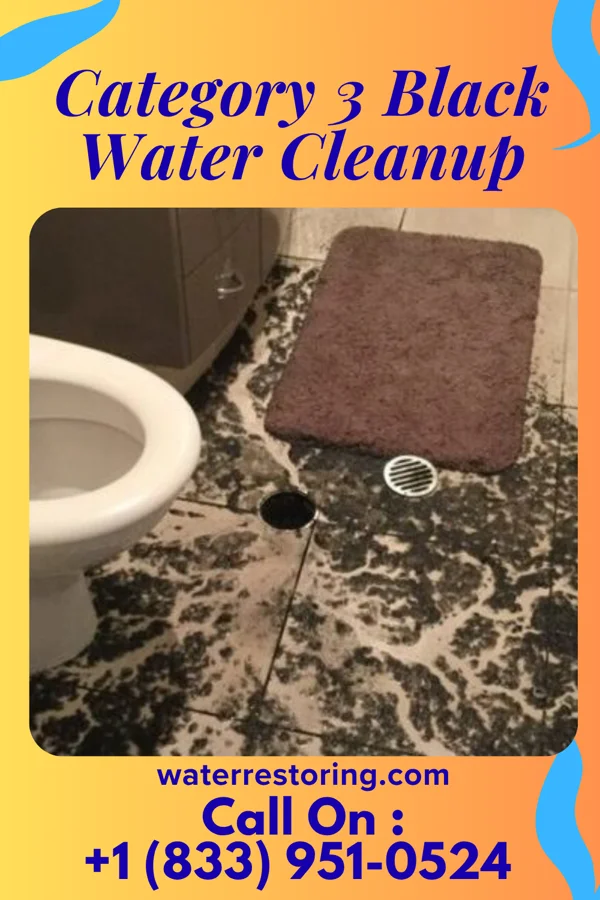 Category 3 Black Water Cleanup in Leadville North, CO