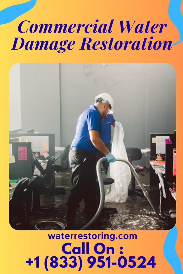 Commercial Water Damage Restoration in Leadville North, CO