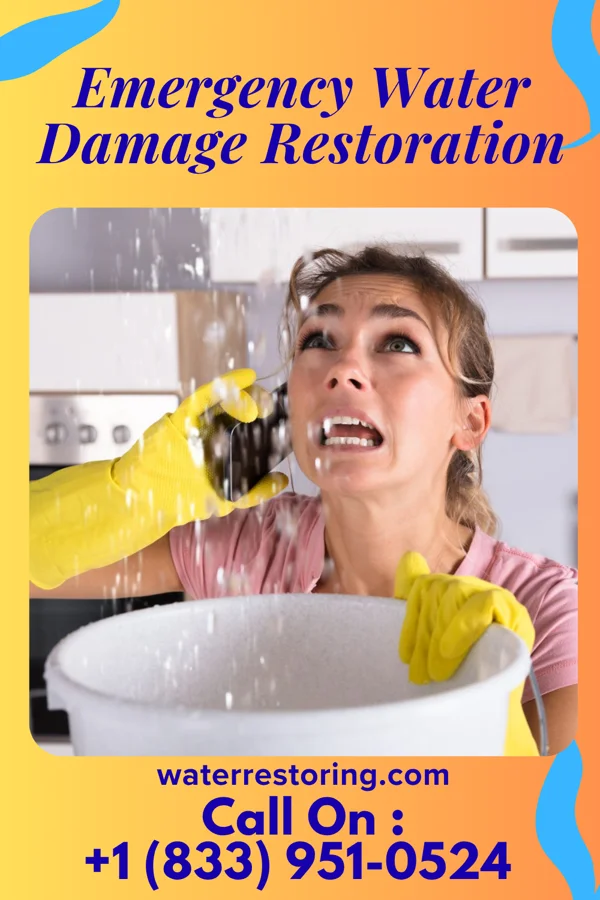 Emergency Water Damage Restoration in Leadville North, CO